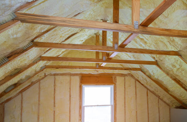 Best Cellulose Insulation in Jean Fitte, LA