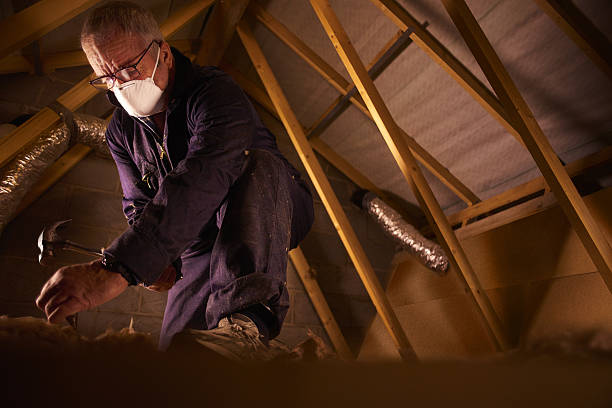 Best Specialized Insulation Services in Jean Fitte, LA