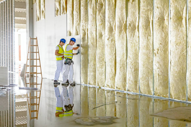 Best Spray Foam Insulation in Jean Fitte, LA